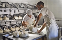 El proceso de elaboracin del queso D.O.P. Mahn-Menorca es puramente artesanal