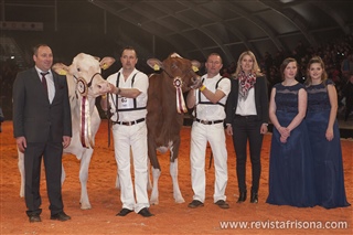 Las campeonas Holstein Rojas