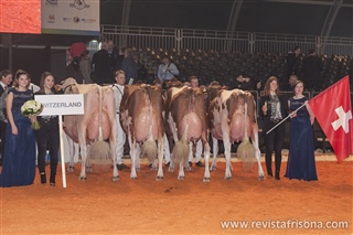 Suiza, Mejor Pas Holstein Rojo