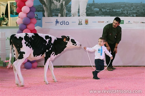 Concurso Usas Holstein 2019