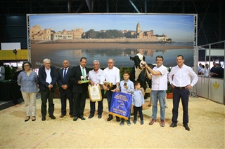  Vaca Gran Campeona de Asturias 2018