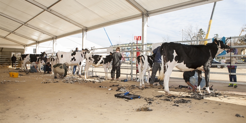 La Junta de Castilla y Len considera que el consumidor tiene derecho a saber la procedencia de la leche