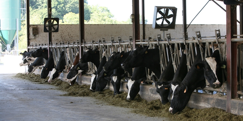 Nestl, Lactalis y Danone, las tres empresas de lcteos ms grandes del mundo segn 'Global Dairy Top 20'