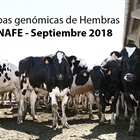 Pruebas genmicas de Hembras CONAFE  Septiembre 2018