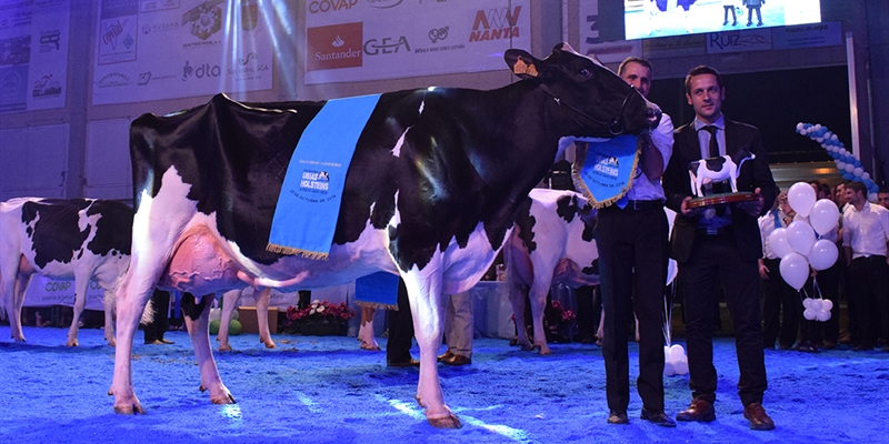 Atalayuela Kampman Reinalda, Vaca Gran Campeona del Concurso Usas Holstein 2018