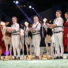 Un grupo de ganaderos espaoles concursar maana en Lausanne