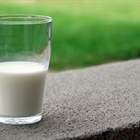 La leche y productos lcteos en Espaa ya tienen nuevo etiquetado de origen