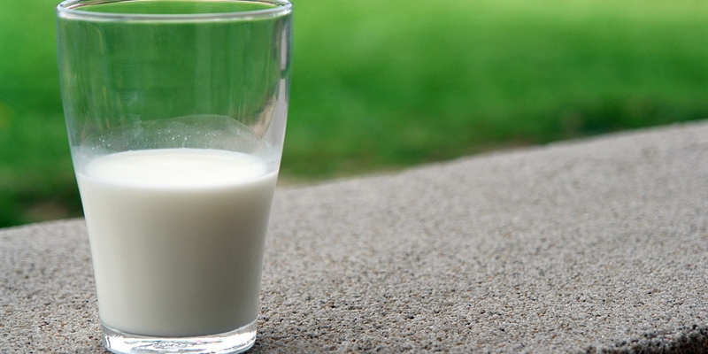 La leche y productos lcteos en Espaa ya tienen nuevo etiquetado de origen