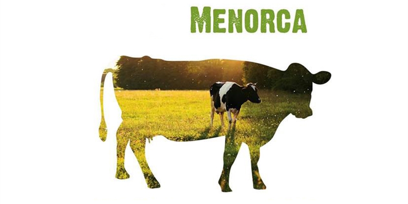 33 Concurso Morfolgico de Ganado Vacuno Frisn de Menorca