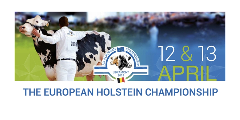 Espaa competir frente a 14 pases en la Confrontacin Europea de Raza Holstein 2019