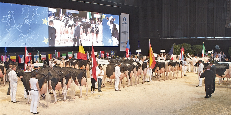 La Confrontacin Europea de Raza Holstein anuncia la participacin de 173 vacas, incluidas 14 espaolas