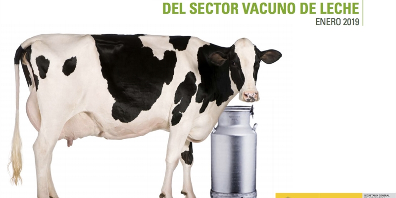 El precio medio en origen de la leche de vaca se sita en 0,330 euros litro pero bajan las entregas