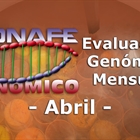 Nuevos toros genmicos con Prueba Oficial: Evaluacin genmica de abril 2019