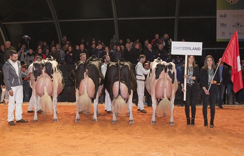 Suiza, Mejor Pas del Concurso Holstein Europeo 2019