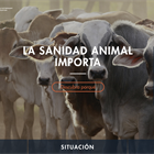 La sanidad animal importa, nueva web sobre salud veterinaria