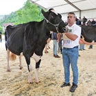 Llinde Ariel Jordan repite como Vaca Gran Campeona del Concurso de Raza Frisona San Bernab 2019 de Treceo