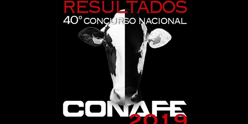 Sigue los resultados en directo del 40 Concurso Nacional de Raza Frisona CONAFE 2019