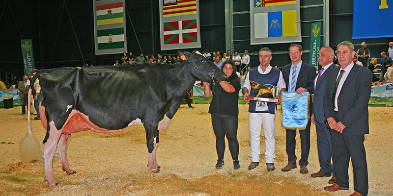 Llinde Ariel Jordan, de SAT Ceceo, Vaca Gran Campeona Nacional CONAFE 2019