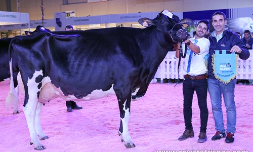 H.Tobas Bradnick Mili, Vaca Gran Campeona del concurso Usas Holsteins...