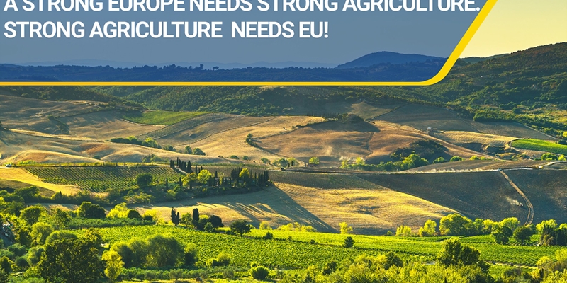 Los agricultores de la UE calculan que la PAC 2020 reducira un 11% los pagos directos