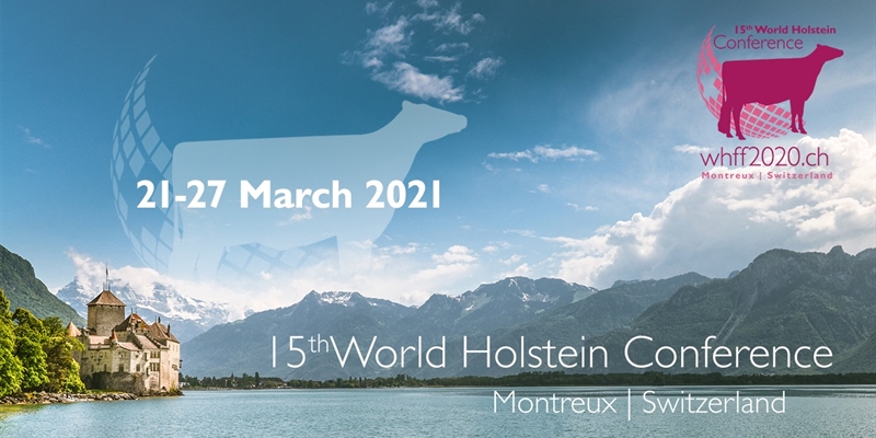 La Conferencia Mundial de Raza Holstein, aplazada hasta marzo de 2021