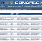Ya est disponible la nueva lista de Toros Activos en la web de CONAFE