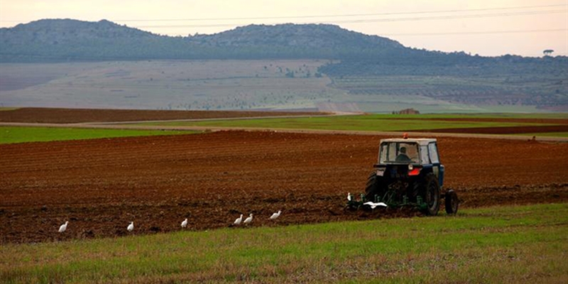Autorizado el convenio entre Enesa y Agroseguro para la ejecucin de los planes de seguros agrarios en el ejercicio 2020