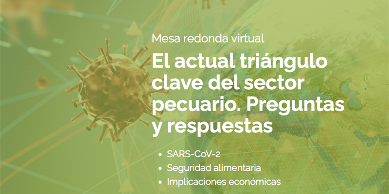 Mesa redonda virtual: El actual tringulo clave del sector pecuario:  SARS-CoV-2 - Seguridad Alimentaria - Implicaciones econmicas