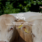 MSD Animal Health lanza Devorando Mitos, una plataforma para desmontar los falsos mitos sobre los alimentos de origen animal