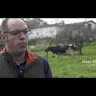 Vdeos: Respuestas para poner en valor el trabajo de los ganaderos y ganaderas del sector lcteo