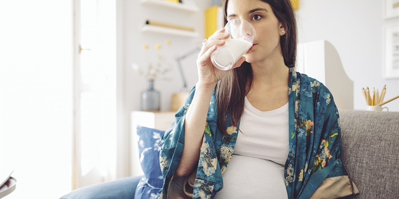 Los lcteos, aliados en la dieta de las mujeres embarazadas segn los expertos