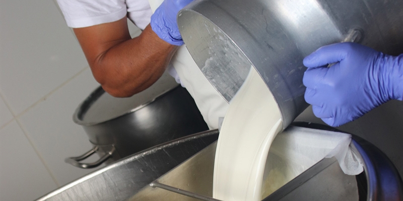 Canarias convoca las ayudas POSEI 2020 a la industria lctea y a los productores de leche