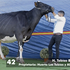 H. Tobas Bradnick Mili, Vaca Gran Campeona del concurso virtual Usas Holsteins 2020