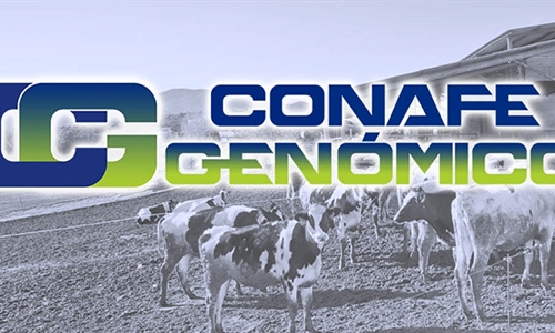 Actualizacin de las pruebas genmicas de Hembras CONAFE Octubre 2021