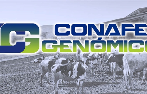 Actualizacin de las pruebas genmicas de Hembras CONAFE Enero 2022