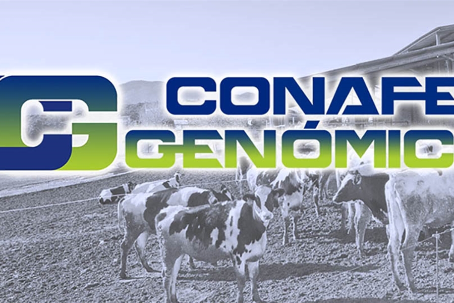 Actualizacin de las pruebas genmicas de Hembras CONAFE Abril 2022
