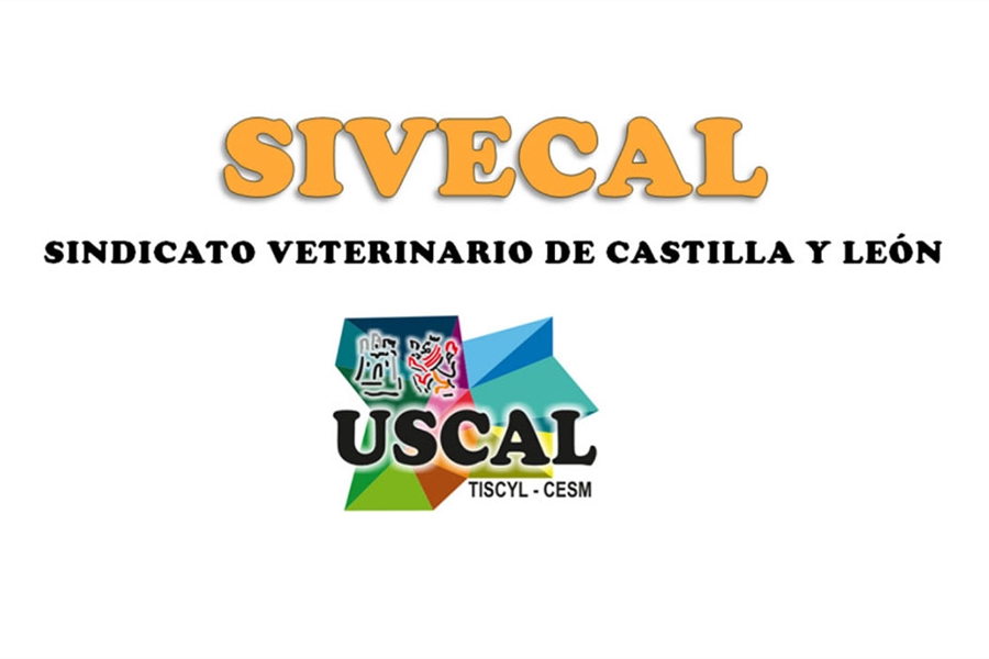 Preocupacin entre los veterinarios de Castilla y Len por las palabras...