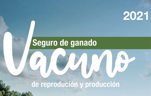 Agroseguro participa en el 36 Congreso de la Asociacin Internacional...