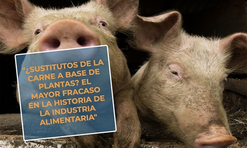 #RealidadGanadera: Sustitutos de la carne a base de plantas? El mayor...