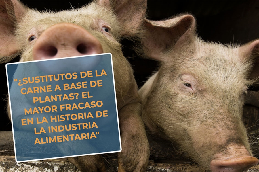 #RealidadGanadera: Sustitutos de la carne a base de plantas? El mayor...