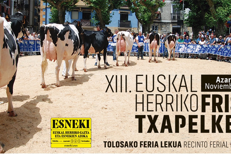 Cartel y programa del XIII Concurso de Ganado Frisn de Euskal Herria 2022
