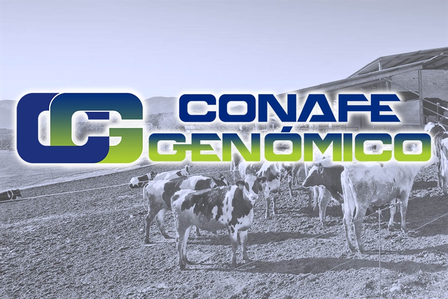 Actualizacin de las pruebas genmicas de Hembras CONAFE Noviembre 2022