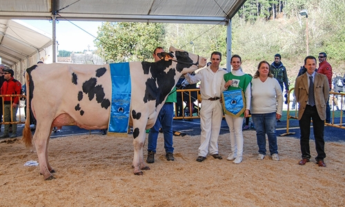 Oralia (Ganadera Murrieta), Vaca Gran Campeona del Concurso de la Raza...