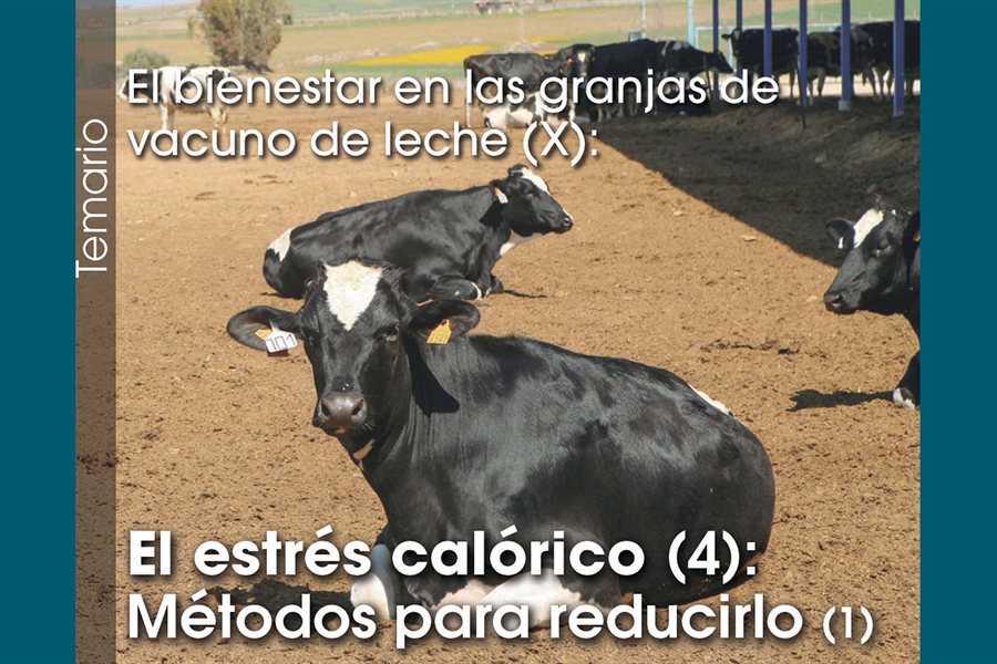 El bienestar en las granjas de vacuno de leche (X): El estrs calrico...