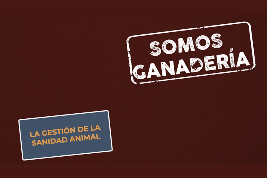 #RealidadGanadera: La gestin de la sanidad animal