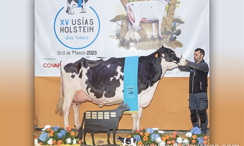 Vistahermosa Awesome BYMY 0538, Vaca Gran Campeona del Usas Holstein 2023