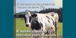 El bienestar en las granjas de vacuno de leche (XI): El estrs calrico (5): Mtodos para reducirlo (2)