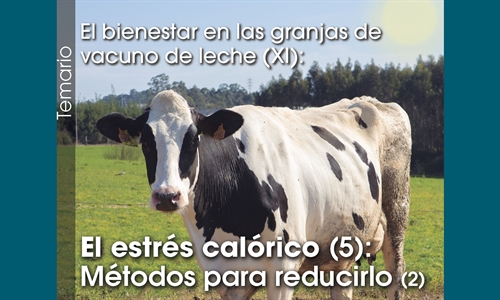El bienestar en las granjas de vacuno de leche (XI): El estrs calrico...