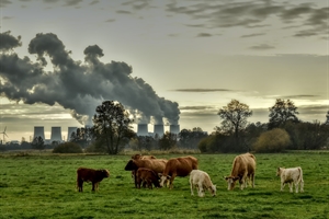 #RealidadGanadera: La vaca expiatoria o por qu la ganadera tiene que pagar por la contaminacin provocada por otras industrias
