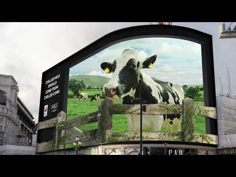 Vacas relajadas, leche fresca, original publicidad en 3D...